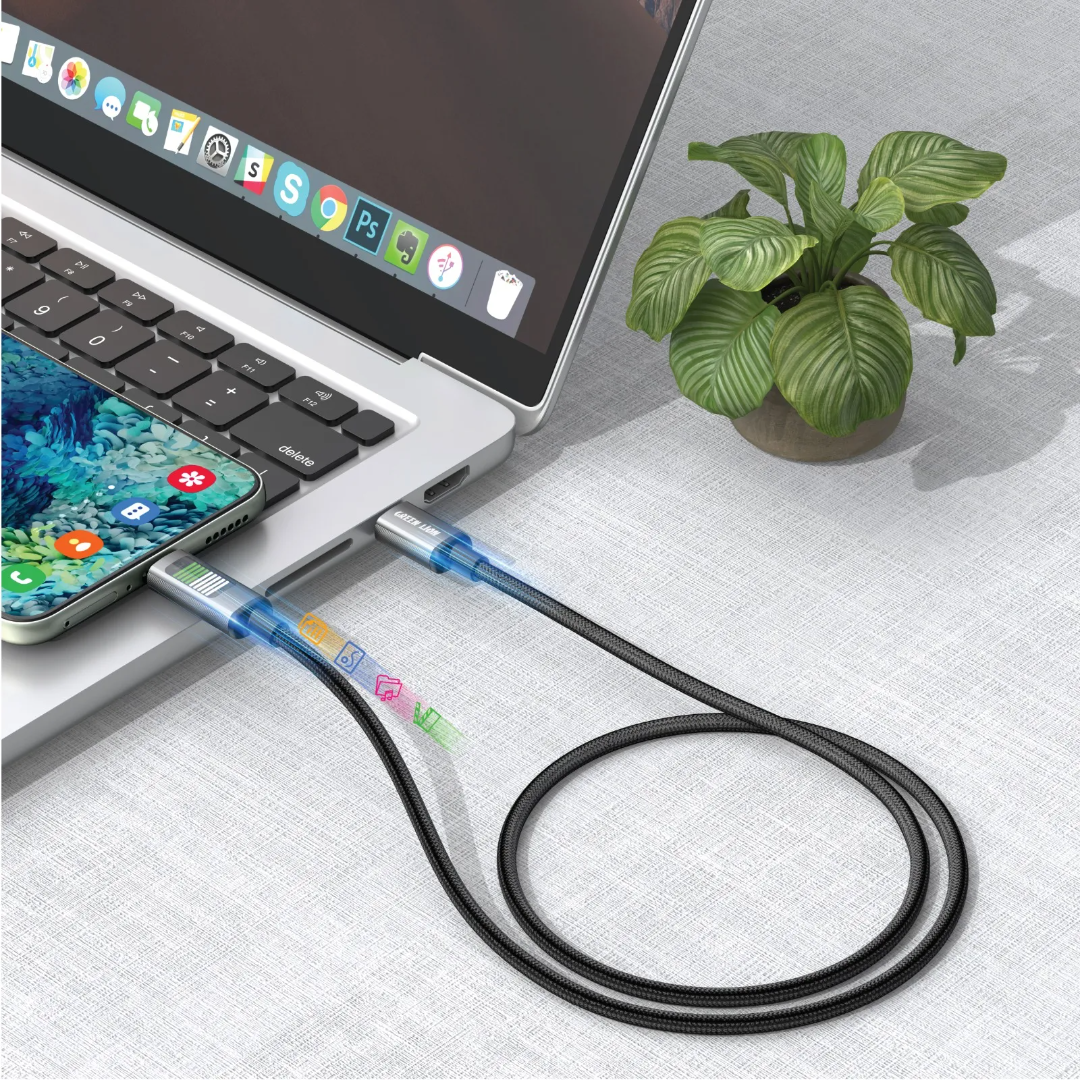 Green Lion LED Type‑C 2‑in‑1 Cable – Black - Image 2