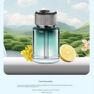 Car Diffuser with Automatic Fragrance Spray
